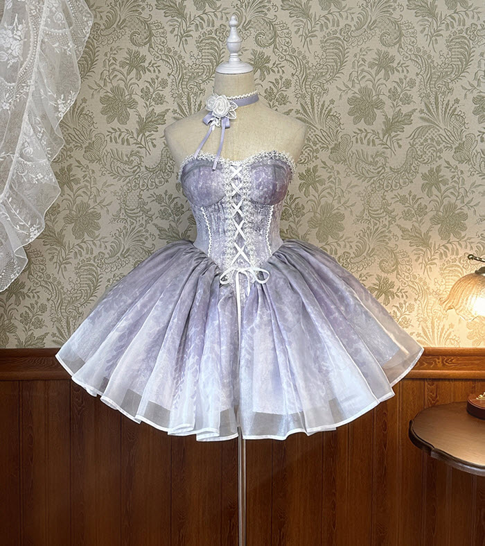 Alice Girl -Wisteria Ballet- Lolita Jumper Dress